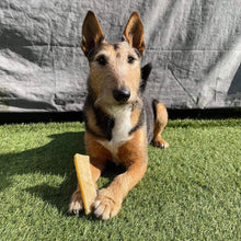 Load image into Gallery viewer, K2 Yak Chews Turmeric Small