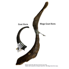 Load image into Gallery viewer, Anco Naturals Mega Goat Horn