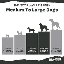 Load image into Gallery viewer, BARK Hare Raiser Dog Toy