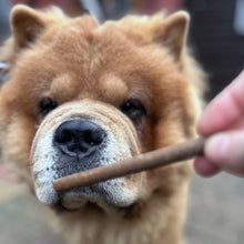 Load image into Gallery viewer, Dog looking at a treat held by a person