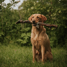 Load image into Gallery viewer, Anco Naturals Giant Deer Leg