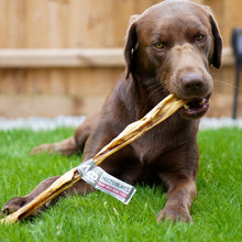 Load image into Gallery viewer, Anco Naturals Giant Wild Boar Stick