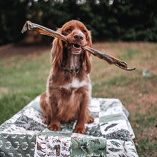 Load image into Gallery viewer, Anco Naturals Giant Deer Stick