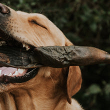 Load image into Gallery viewer, Anco Naturals Giant Bully Stick