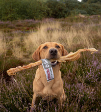Load image into Gallery viewer, Anco Naturals Giant Bully Muscle Stick