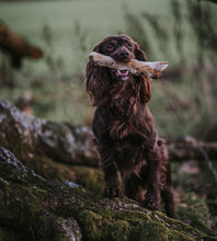Load image into Gallery viewer, Anco Naturals Hairy Goat Foot