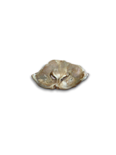 Load image into Gallery viewer, Lamb Snout