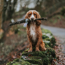 Load image into Gallery viewer, Anco Naturals Giant Smoked Buffalo Tripe Braid