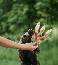 Load image into Gallery viewer, Anco Naturals Rabbit Ear