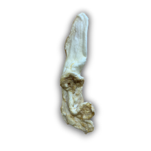 Load image into Gallery viewer, Anco Puffed Rabbit Ear