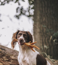 Load image into Gallery viewer, Anco Naturals Turkey Foot
