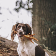 Load image into Gallery viewer, Anco Naturals Turkey Foot