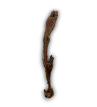 Load image into Gallery viewer, Anco Naturals Beef Tendon
