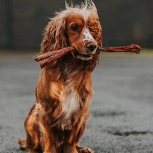 Load image into Gallery viewer, Anco Naturals Beef Tendon