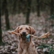 Load image into Gallery viewer, Anco Naturals Giant Goat Stick