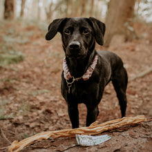 Load image into Gallery viewer, Anco Naturals Giant Lamb Stick