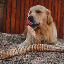 Load image into Gallery viewer, Anco Naturals Giant Bully Tube
