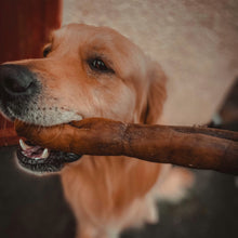 Load image into Gallery viewer, Anco Naturals Camel Roll Large