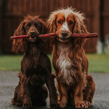 Load image into Gallery viewer, Anco Naturals Giant Pizzle Stick