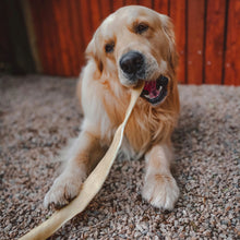 Load image into Gallery viewer, Anco Naturals Giant Buffalo Stick