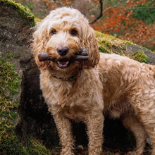 Load image into Gallery viewer, Anco Naturals Camel Roll Medium