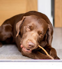 Load image into Gallery viewer, Anco Naturals Goat Pizzle Sticks - 100g