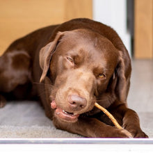 Load image into Gallery viewer, Anco Naturals Goat Pizzle Sticks - 100g