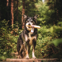 Load image into Gallery viewer, Anco Naturals Bully Coconut Roll