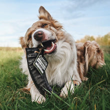 Load image into Gallery viewer, Dog holding a black dog toy with a visible brand label in a grassy field.