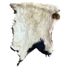 Load image into Gallery viewer, A dried beef bark skin, with varying shades of beige and brown, and visible fur texture.