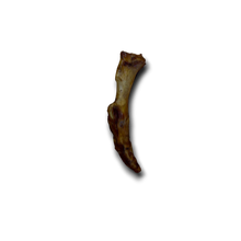 Load image into Gallery viewer, Anco Naturals Ostrich Foot Runner