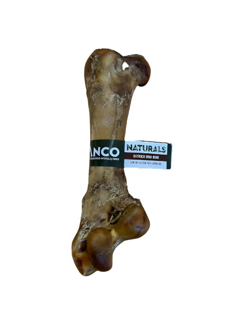 Dino bone dog chew best sale