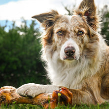 Load image into Gallery viewer, Anco Naturals Ostrich Dino Bone