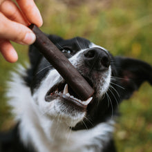 Load image into Gallery viewer, Anco Naturals Ostrich Prime Tender Stick