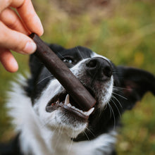 Load image into Gallery viewer, Anco Naturals Ostrich Prime Tender Sticks 5pcs