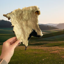 Load image into Gallery viewer, Hairy Beef Bark Skin