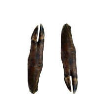 Load image into Gallery viewer, Nova Paddock Farm Wild Boar Trotter