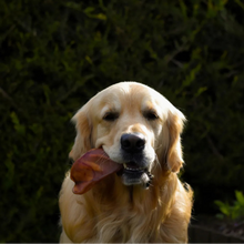 Load image into Gallery viewer, Pig Ear
