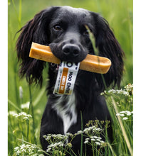 Load image into Gallery viewer, Anco Moo Chew Cheese Bar Medium