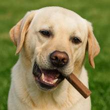 Load image into Gallery viewer, Dog holding a treat in its mouth with a green grass background