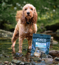 Load image into Gallery viewer, Anco Oceans Dried Herring 10pk