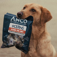 Load image into Gallery viewer, Anco Oceans Salmon Skin Cubes 100g
