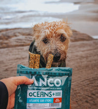 Load image into Gallery viewer, Anco Oceans Plus Atlantic Cod Stick with Pumpkin 70g