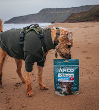 Load image into Gallery viewer, Anco Oceans Plus Atlantic Cod Coins with Cranberry 50g