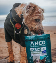 Load image into Gallery viewer, Anco Oceans Plus Baltic Herring Buttons with Blueberry 80g