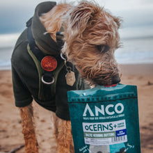 Load image into Gallery viewer, Anco Oceans Plus Baltic Herring Buttons with Blueberry 80g