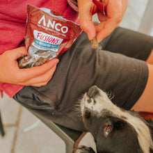 Load image into Gallery viewer, Person holding a bag of ANCO Fusions dog food with a dog eagerly waiting to be fed.