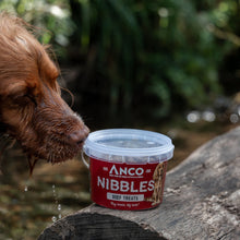 Load image into Gallery viewer, Dog sniffing a container of Ancol Nibbles beef treats outdoors.
