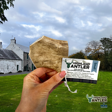 Load image into Gallery viewer, Antos Nova Highland Fallow Antler Small