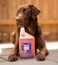 Load image into Gallery viewer, Anco Nutrients Salmon Oil with Herbs 1000ml